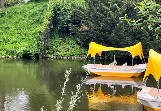 23-05-16 13-30-58 5409